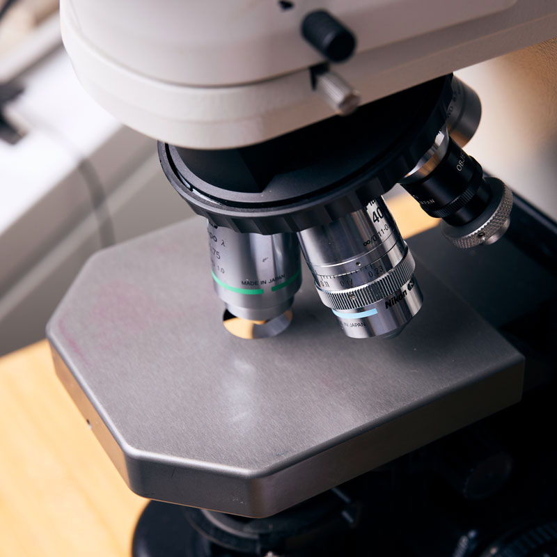 A microscope at the dermatologist in Panama City, FL.